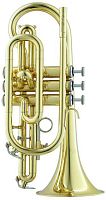 Carol Brass CCR-2000-YSS-Bb-L