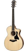 TAYLOR 114ce 100 Series